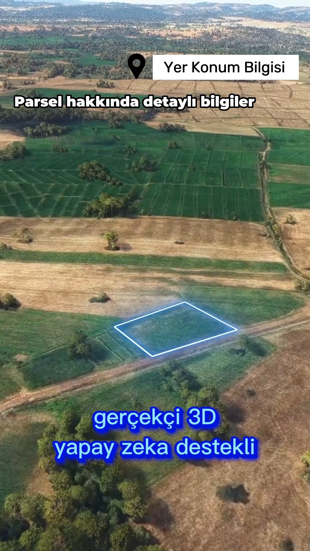 Drone Video