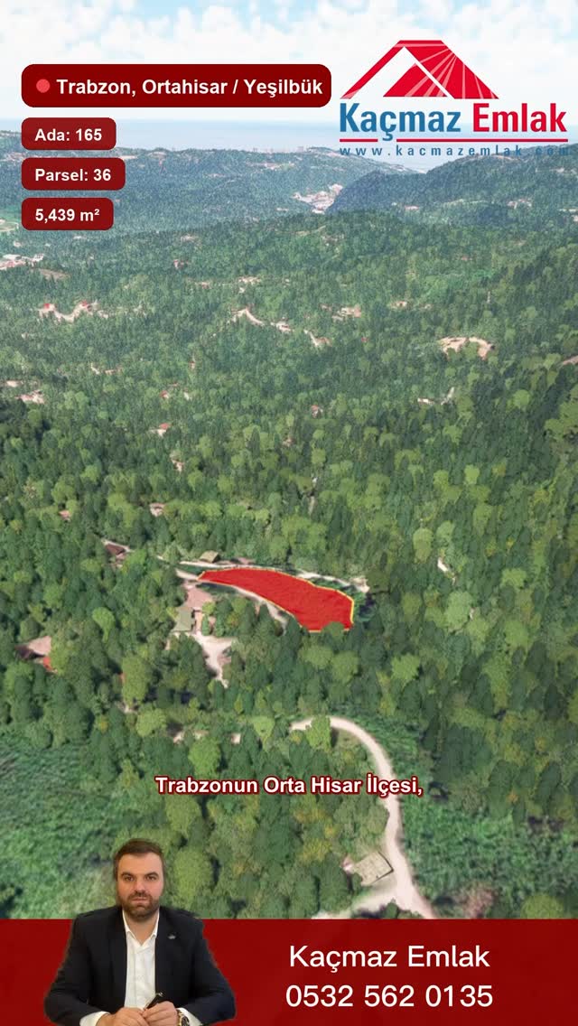 Drone Video