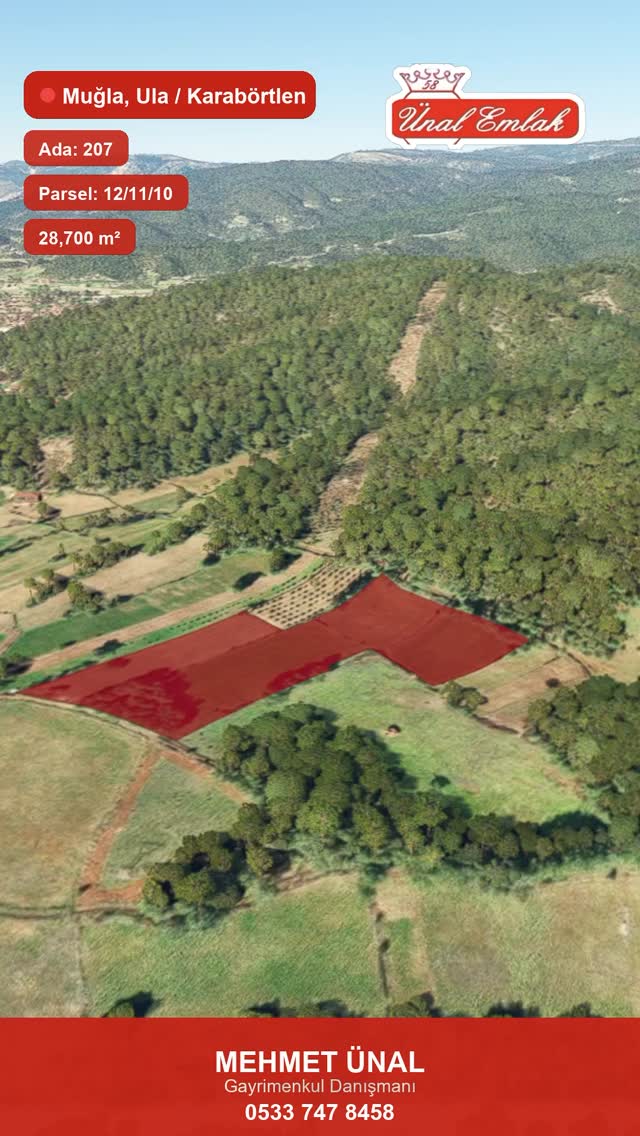 Drone Video