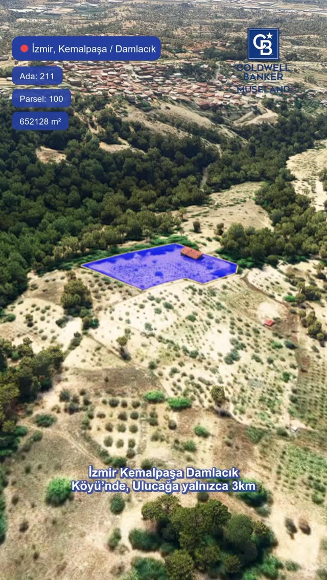 Drone Video