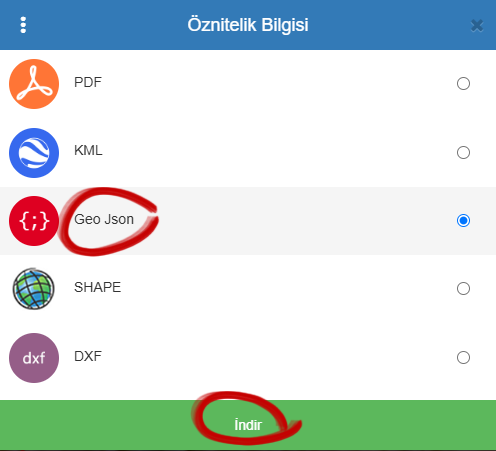 Adım 2: JSON formatını seçme